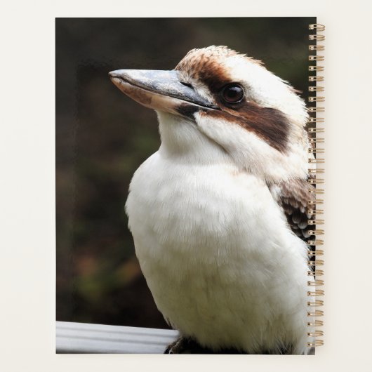 Kookaburra Planner (Achterkant)