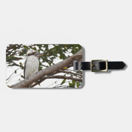 "KOOKABURRA PLRAL QUEENSLAND AUSTRALIË BAGAGELABEL