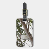 "KOOKABURRA PLRAL QUEENSLAND AUSTRALIË BAGAGELABEL (Voorkant verticaal)