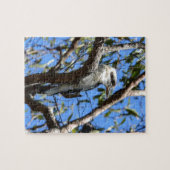 KOOKABURRA PLRAL QUEENSLAND AUSTRALIË LEGPUZZEL (Horizontaal)