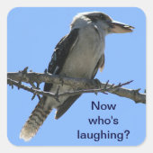 Kookaburra.png Vierkante Sticker (Voorkant)