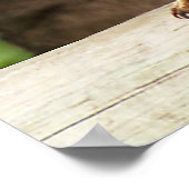 Kookaburra Poster (Hoek)