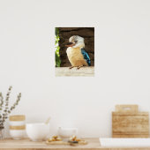 Kookaburra Poster (Keuken)