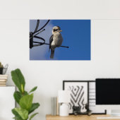 Kookaburra Poster (Thuiskantoor)
