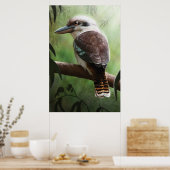 Kookaburra Poster (Keuken)