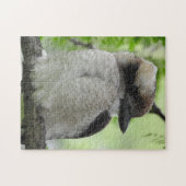 Kookaburra Puzzle Legpuzzel (Horizontaal)