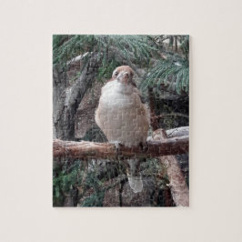 Kookaburra Puzzle Legpuzzel