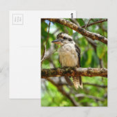 KOOKABURRA QUEENSLAND AUSTRALIË BRIEFKAART (Voorkant / Achterkant)