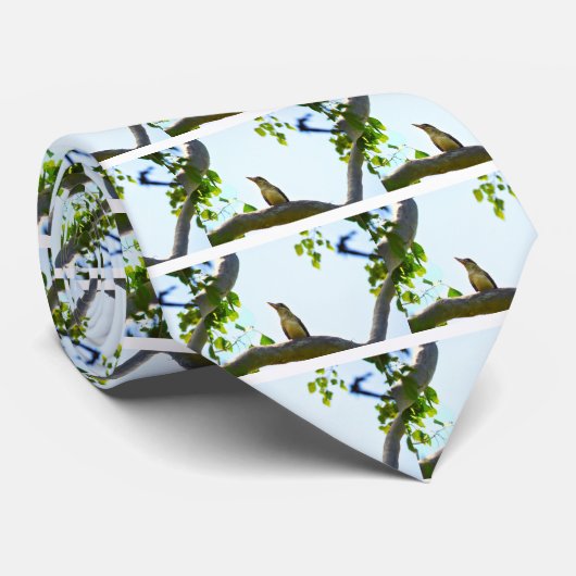 KOOKABURRA QUEENSLAND AUSTRALIË STROPDAS (Opgerold)