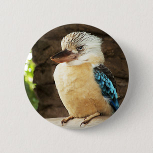 Kookaburra Ronde Button 5,7 Cm