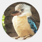 Kookaburra Ronde Sticker (Voorkant)