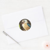 Kookaburra Ronde Sticker (Envelop)