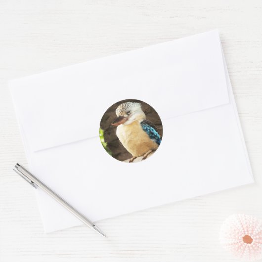 Kookaburra Ronde Sticker (Envelop)