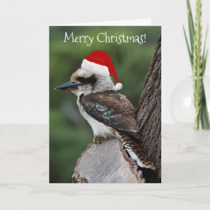 Kookaburra Rood kerstfeest Kaart