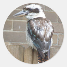 Kookaburra-Sticker Ronde Sticker