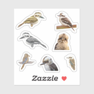 Kookaburra Stickers