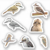 Kookaburra Stickers (Voorkant)