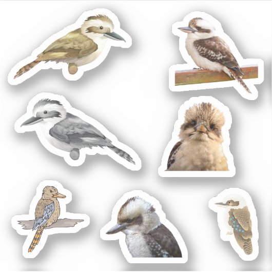 Kookaburra Stickers (Voorkant)