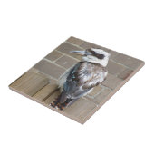 Kookaburra Tile Tegeltje (Zijkant)