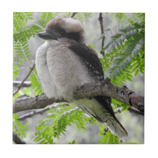 Kookaburra Tile Tegeltje