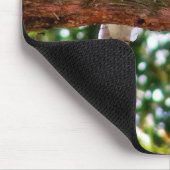 Kookaburra vogel op een tak Muismat (Hoek)