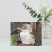 Kookaburra zien Briefkaart (Staand voorkant)