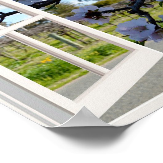 Kookaburras in mijn raam, poster (Hoek)