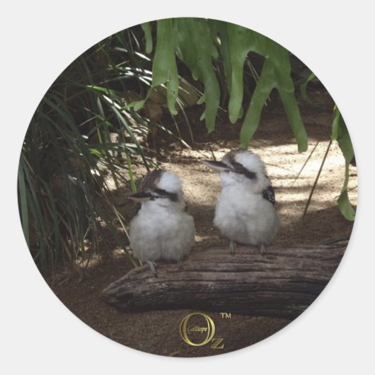 Kookaburras lachen ronde sticker (Voorkant)