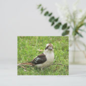 Kookabuura Briefkaart (Staand voorkant)