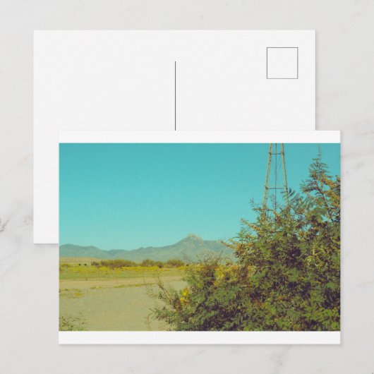 Kookes Briefkaart 10 (Voorkant / Achterkant)