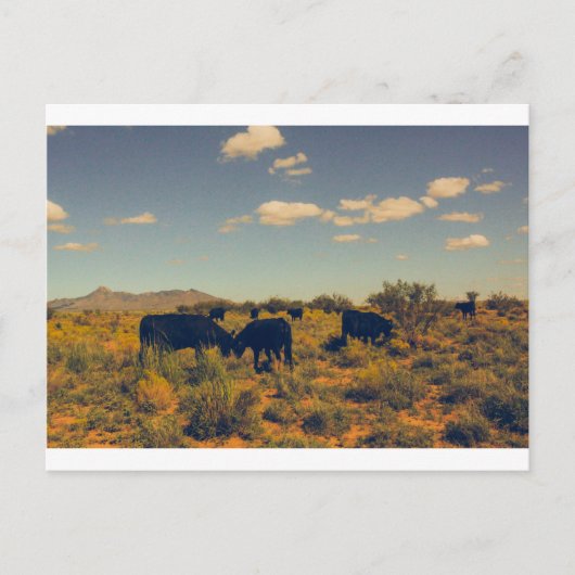 Kookes Peak Briefkaart 07 (Voorkant)