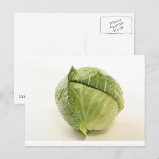 kool briefkaart (Voorkant / Achterkant)