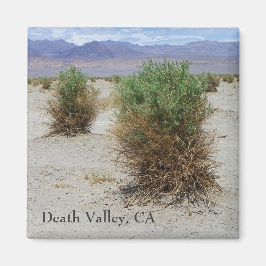 Kool Death Valley Magnet! Magneet (Voorkant)