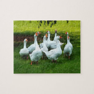 Kool ganzen legpuzzel