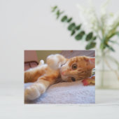 Kool is gekke Briefkaart (Staand voorkant)