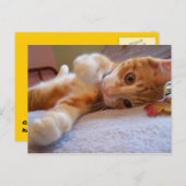 Kool is gekke Briefkaart (Voorkant / Achterkant)