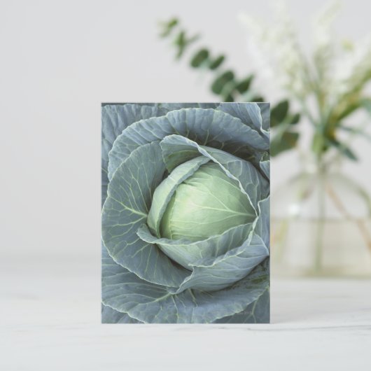 Kool met waterdruppels briefkaart (Staand voorkant)