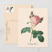 Kool Roos Botanische Bloemen Briefkaart (Voorkant / Achterkant)