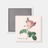 Kool Roos Botanische Print Magneet (Voorkant / Achterkant)