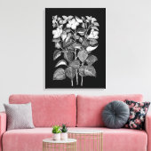 Kool Tekening van Italiaanse Hibiscus-bloemen Canvas Afdruk (Insitu (Woonkamer))