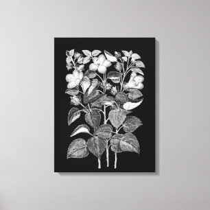 Kool Tekening van Italiaanse Hibiscus-bloemen Canvas Afdruk