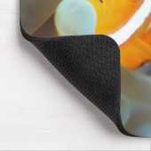 Koolanemefvis 3 muismat (Hoek)