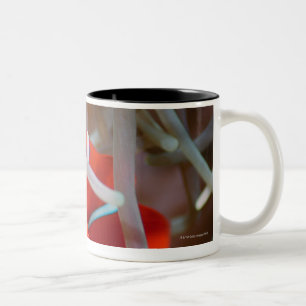 Koolanemonefish 2 tweekleurige koffiemok