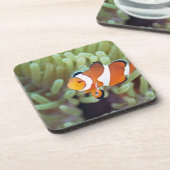 Koolanemonefish 4 drankjes onderzetter (Linkerzijde)