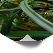 Koolau-gebergten boven Manoa Valley, O'ahu Poster (Hoek)