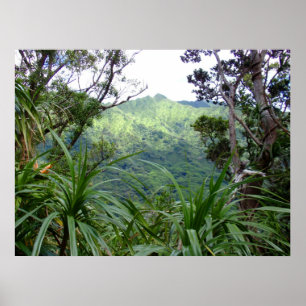Koolau-gebergten boven Manoa Valley, O'ahu Poster