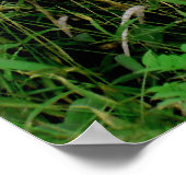 Ko'olau Mountain Ridge Poster (Hoek)