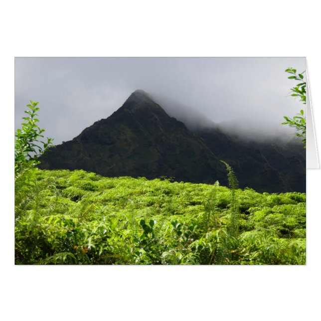 Koolau Mountains (Voorkant Horizontaal)