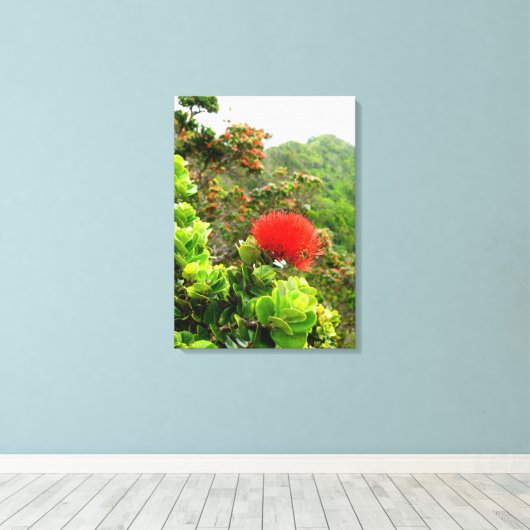 Koolau Mountains Canvas Afdruk (Insitu (Houten vloer))