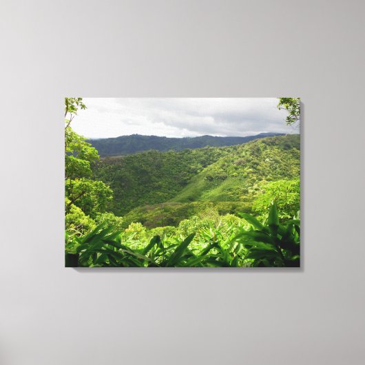 Koolau Mountains Canvas Afdruk (Voorkant)